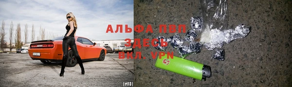 прущие грибы Горнозаводск
