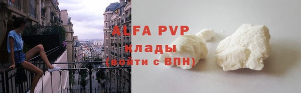 прущие грибы Горнозаводск