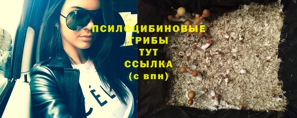 прущие грибы Горнозаводск