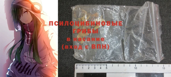 прущие грибы Горнозаводск
