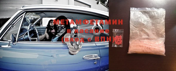 прущие грибы Горнозаводск